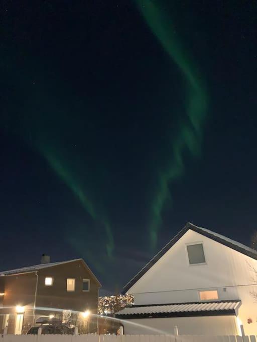 Fin Leilighet I Tromsdalen. Apartment Tromso Bagian luar foto